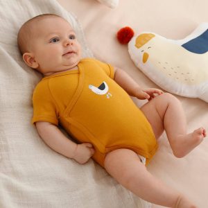Achat Lot de 5 bodies mouette manches courtes ouverture naissance lot jaune épicé pas cher en promo