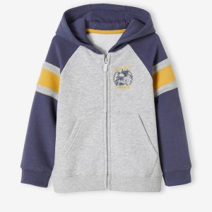 Achat Sweat zippé à capuche grand motif dos garçon gris clair chiné pas cher en promo