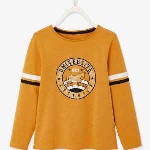 Achat T-shirt fille esprit collège détails irisés en coton bio marron pas cher en promo