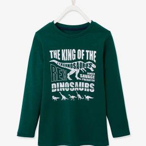 Achat T-shirt message graphique Basics garçon vert forêt pas cher en promo