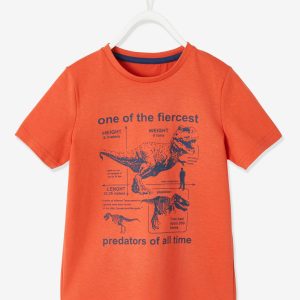 Achat T-shirt motif animal Basics garçon manches courtes orange pas cher en promo