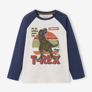 Achat T-shirt motif graphique garçon manches raglan bleu pas cher en promo