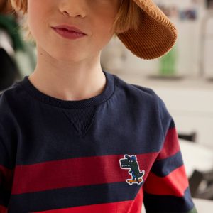 Achat T-shirt rayé garçon avec badge brodé dinosaure encre pas cher en promo