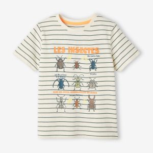 Achat T-shirt rayé garçon manches courtes rayé vert pas cher en promo