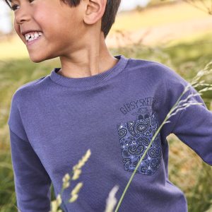 Achat Tee-shirt épais effet sweat garçon poche surprise bleu grisé pas cher en promo